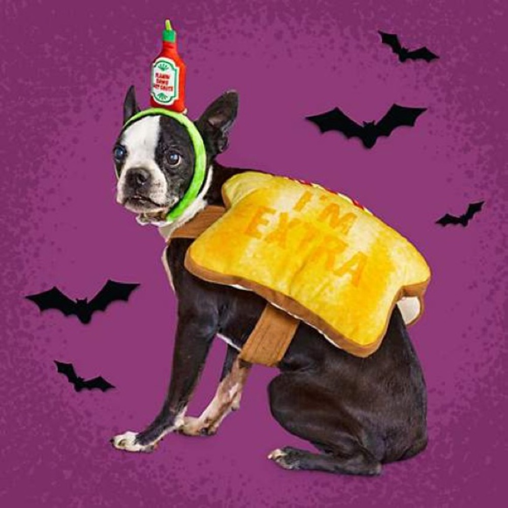 Petco Avocado Toast Dog Costume ‼️NWT‼️